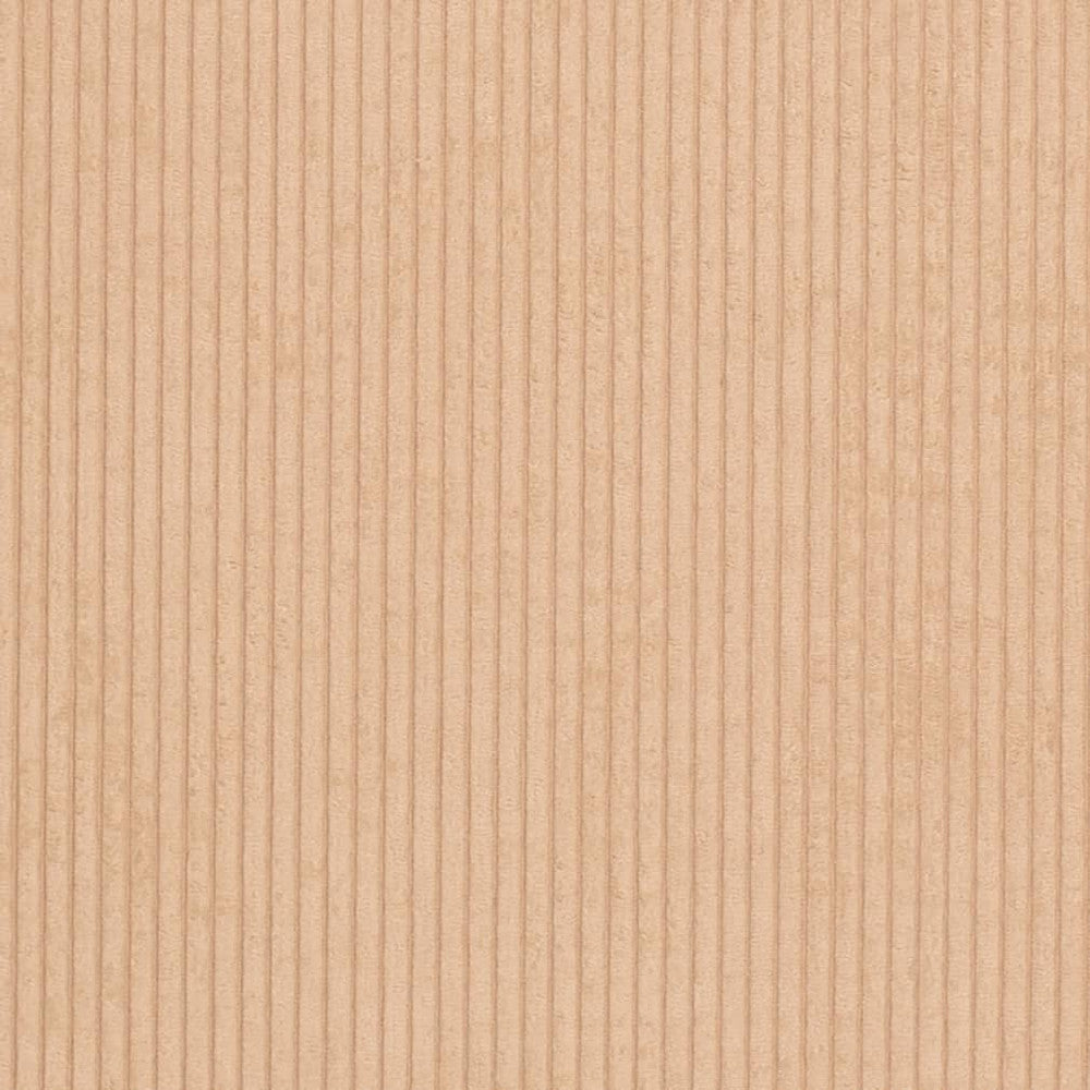 D3899 by Charlotte Designer Fabric Ridges 90% Polyester, 10% Nylon Asia Exceeds 150,000 Wyzenbeek Rubs (Heavy Duty) No Repeat 54 Inches - Swanky Fabrics -