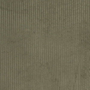 Charlotte Fabric D3901