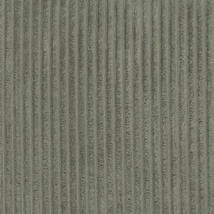 D3915 by Charlotte Designer Fabric Ridges 90% Polyester, 10% Nylon Asia Exceeds 150,000 Wyzenbeek Rubs (Heavy Duty) No Repeat 54 Inches - Swanky Fabrics -