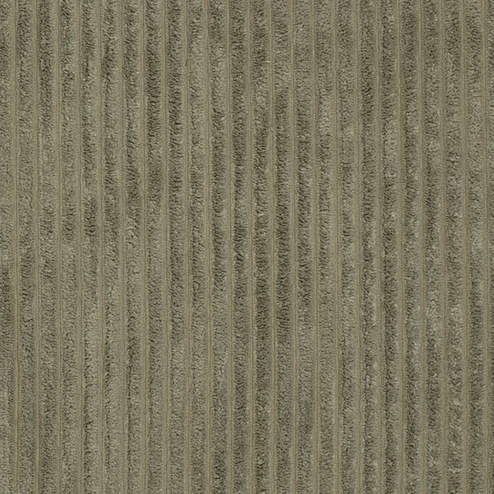 D3917 by Charlotte Designer Fabric Ridges 90% Polyester, 10% Nylon Asia Exceeds 150,000 Wyzenbeek Rubs (Heavy Duty) No Repeat 54 Inches - Swanky Fabrics -
