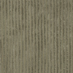 Charlotte Fabric D3917