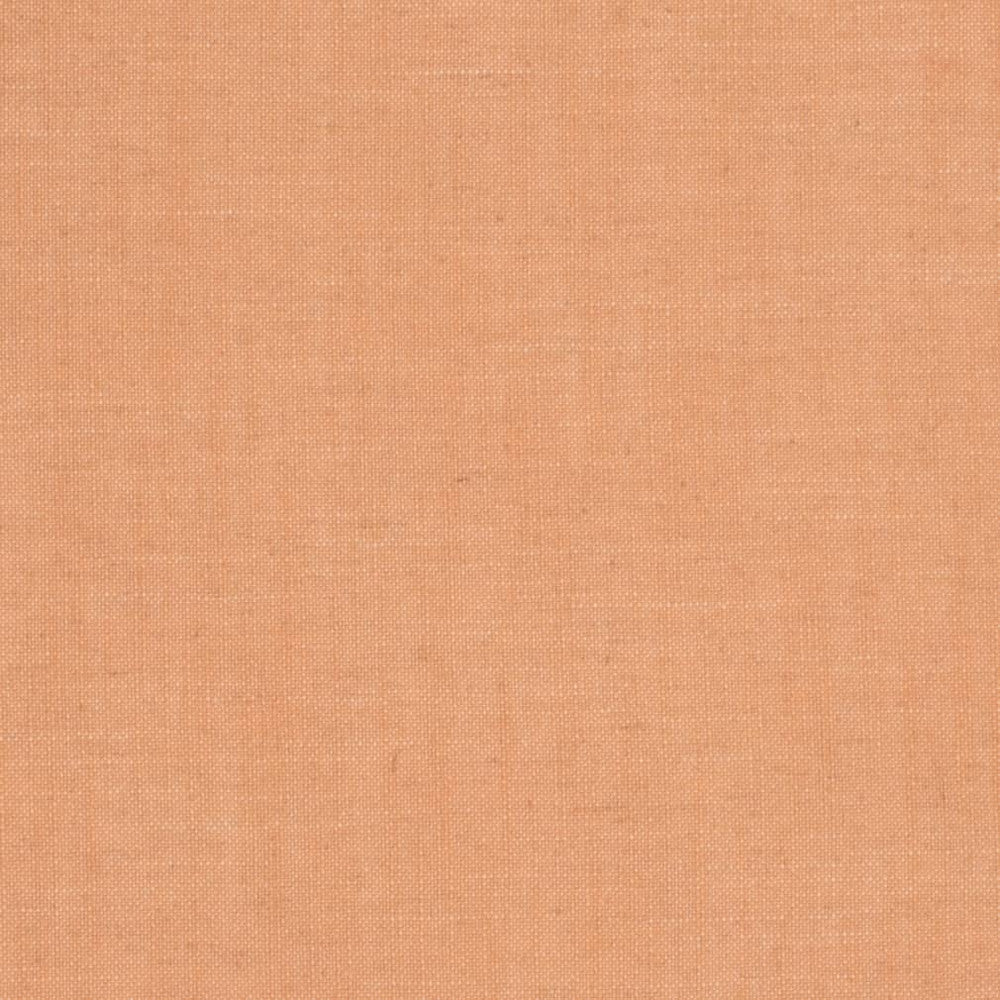 D3938 by Charlotte Designer Fabric Casual Linen 45% Viscose, 35% Polyester, 20% Linen, 16 oz. Asia Exceeds 50,000 Wyzenbeek Rubs (Heavy Duty) No Repeat 54 Inches - Swanky Fabrics -