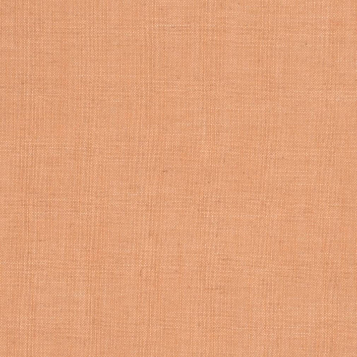 D3938 by Charlotte Designer Fabric Casual Linen 45% Viscose, 35% Polyester, 20% Linen, 16 oz. Asia Exceeds 50,000 Wyzenbeek Rubs (Heavy Duty) No Repeat 54 Inches - Swanky Fabrics -