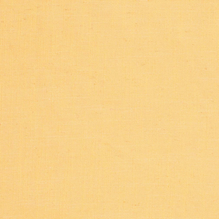 D3941 by Charlotte Designer Fabric Casual Linen 45% Viscose, 35% Polyester, 20% Linen, 16 oz. Asia Exceeds 50,000 Wyzenbeek Rubs (Heavy Duty) No Repeat 54 Inches - Swanky Fabrics -