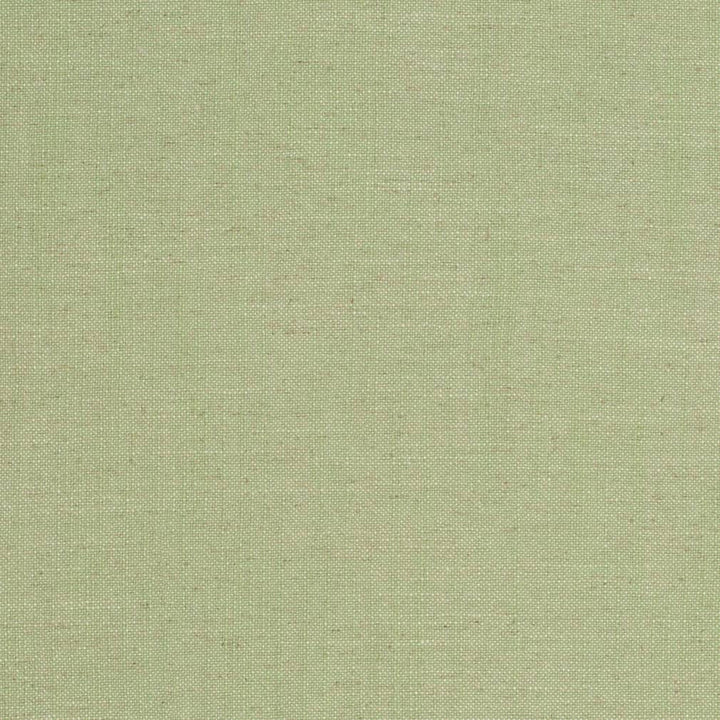 D3951 by Charlotte Designer Fabric Casual Linen 45% Viscose, 35% Polyester, 20% Linen, 16 oz. Asia Exceeds 50,000 Wyzenbeek Rubs (Heavy Duty) No Repeat 54 Inches - Swanky Fabrics -