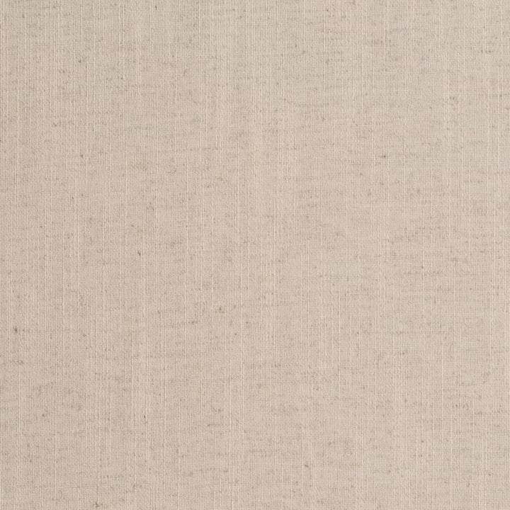 D3952 by Charlotte Designer Fabric Casual Linen 45% Viscose, 35% Polyester, 20% Linen, 16 oz. Asia Exceeds 50,000 Wyzenbeek Rubs (Heavy Duty) No Repeat 54 Inches - Swanky Fabrics -