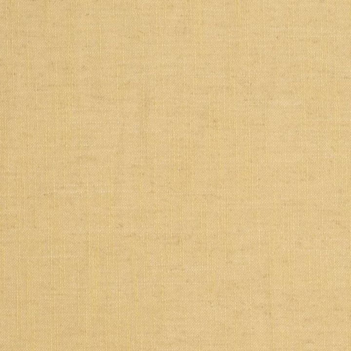 D3953 by Charlotte Designer Fabric Casual Linen 45% Viscose, 35% Polyester, 20% Linen, 16 oz. Asia Exceeds 50,000 Wyzenbeek Rubs (Heavy Duty) No Repeat 54 Inches - Swanky Fabrics -
