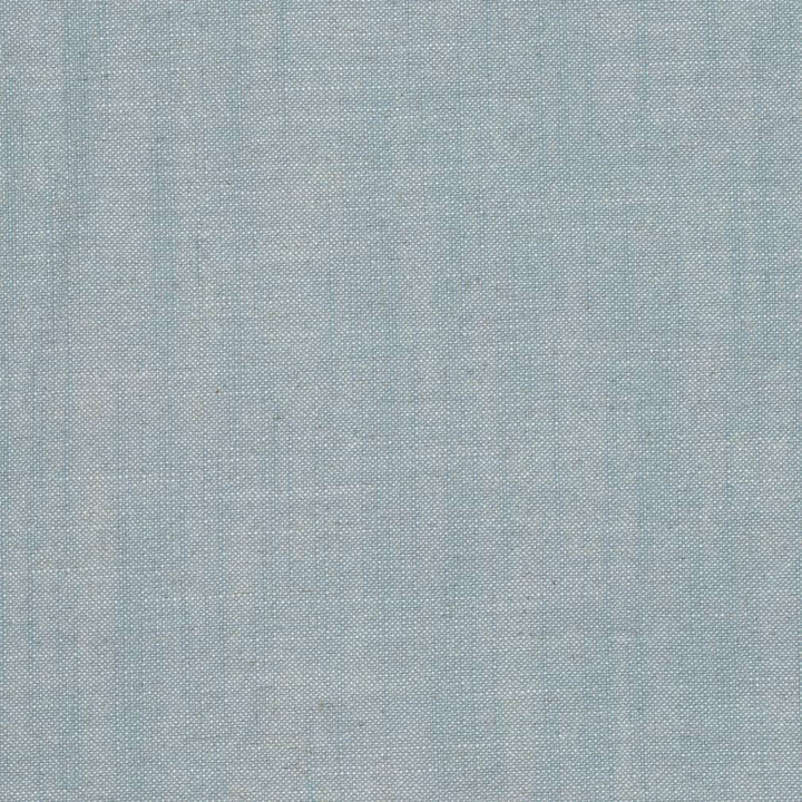D3955 by Charlotte Designer Fabric Casual Linen 45% Viscose, 35% Polyester, 20% Linen, 16 oz. Asia Exceeds 50,000 Wyzenbeek Rubs (Heavy Duty) No Repeat 54 Inches - Swanky Fabrics -