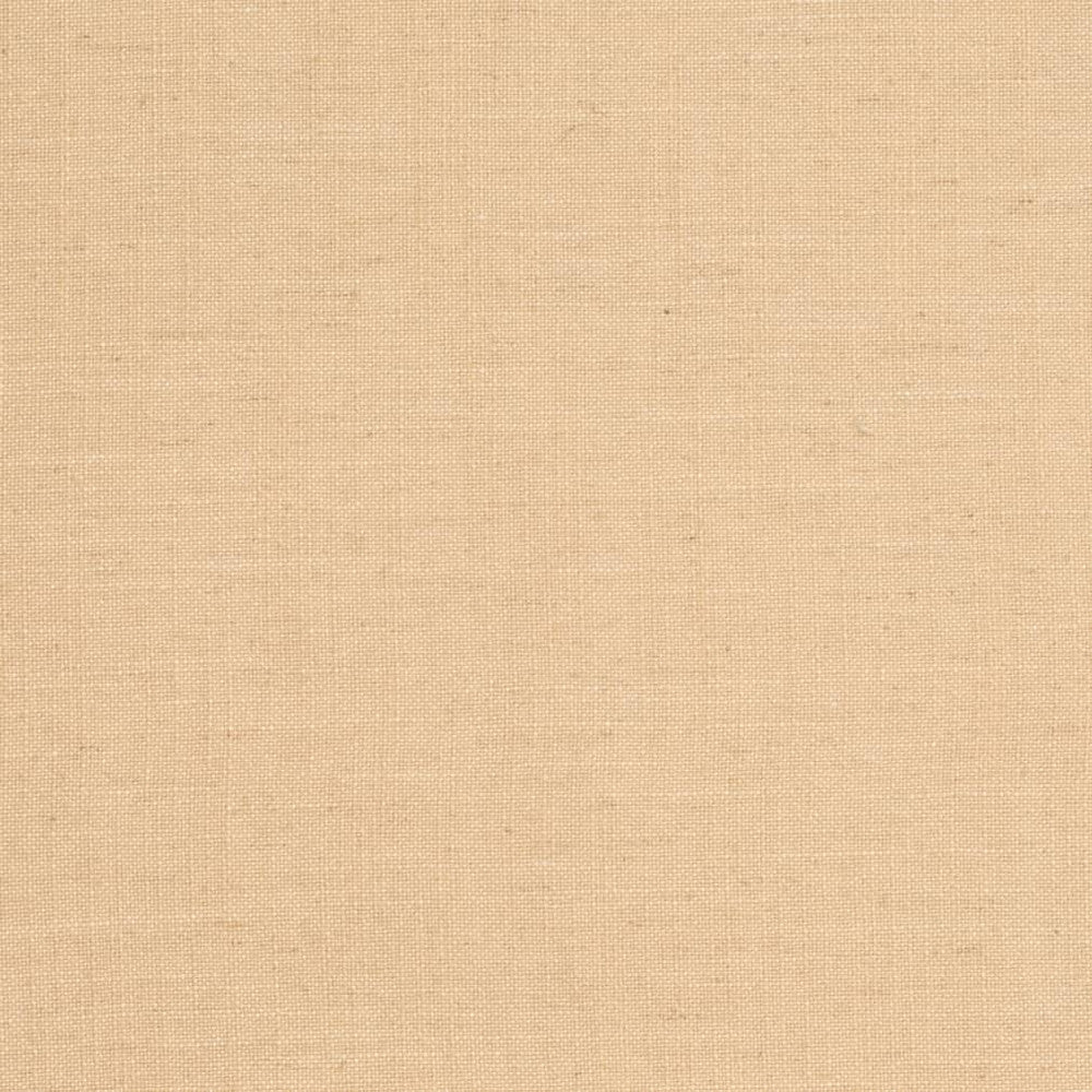 D3959 by Charlotte Designer Fabric Casual Linen 45% Viscose, 35% Polyester, 20% Linen, 16 oz. Asia Exceeds 50,000 Wyzenbeek Rubs (Heavy Duty) No Repeat 54 Inches - Swanky Fabrics -