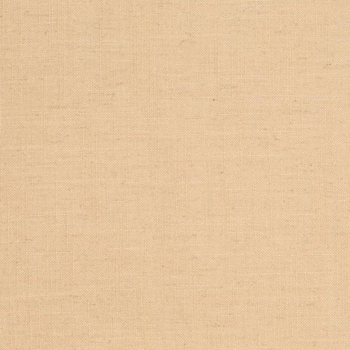 D3959 by Charlotte Designer Fabric Casual Linen 45% Viscose, 35% Polyester, 20% Linen, 16 oz. Asia Exceeds 50,000 Wyzenbeek Rubs (Heavy Duty) No Repeat 54 Inches - Swanky Fabrics -