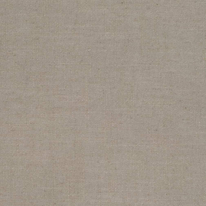 D3968 by Charlotte Designer Fabric Casual Linen 45% Viscose, 35% Polyester, 20% Linen, 16 oz. Asia Exceeds 50,000 Wyzenbeek Rubs (Heavy Duty) No Repeat 54 Inches - Swanky Fabrics -