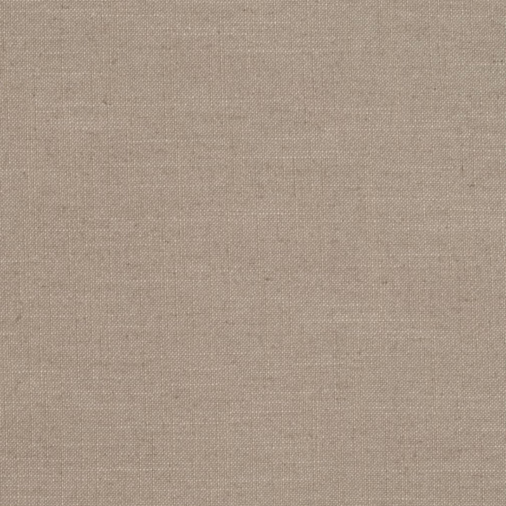 D3979 by Charlotte Designer Fabric Casual Linen 45% Viscose, 35% Polyester, 20% Linen, 16 oz. Asia Exceeds 50,000 Wyzenbeek Rubs (Heavy Duty) No Repeat 54 Inches - Swanky Fabrics -