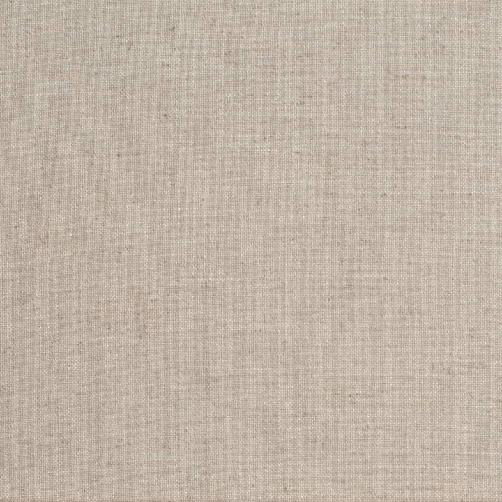 D3980 by Charlotte Designer Fabric Casual Linen 45% Viscose, 35% Polyester, 20% Linen, 16 oz. Asia Exceeds 50,000 Wyzenbeek Rubs (Heavy Duty) No Repeat 54 Inches - Swanky Fabrics -