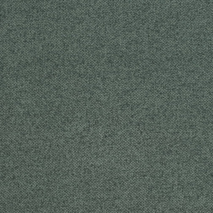 D3991 by Charlotte Designer Fabric Simply Solid 100% Polyester Asia Exceeds 70,000 Wyzenbeek Rubs (Heavy Duty) No Repeat 54 Inches - Swanky Fabrics -