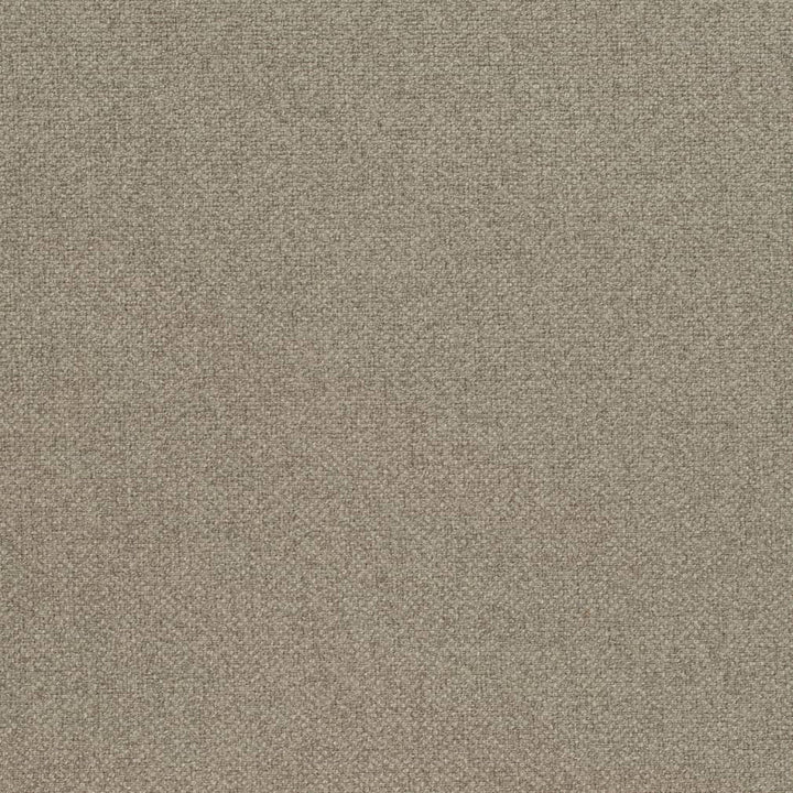 D4013 by Charlotte Designer Fabric Simply Solid 100% Polyester Asia Exceeds 70,000 Wyzenbeek Rubs (Heavy Duty) No Repeat 54 Inches - Swanky Fabrics -