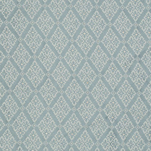 Charlotte Fabric D4061