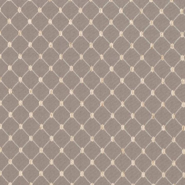 D4095 by Charlotte Designer Fabric Heirloom 100% Polyester Asia Exceeds 100,000 Wyzenbeek Rubs (Heavy Duty) Horizontal 1" x Vertical 1.25" 54 Inches - Swanky Fabrics -