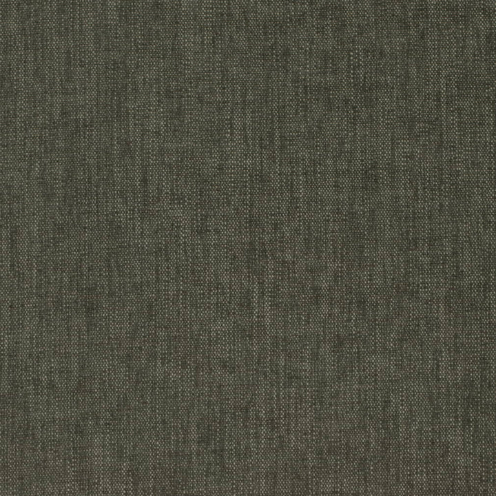 D4150 Jungle by Charlotte Fabric Crypton Colors II 100% Polyester Finished in USA Exceeds 120,000 Wyzenbeek Rubs (Heavy Duty) No Repeat 54 Inches - Fabric Carolina -