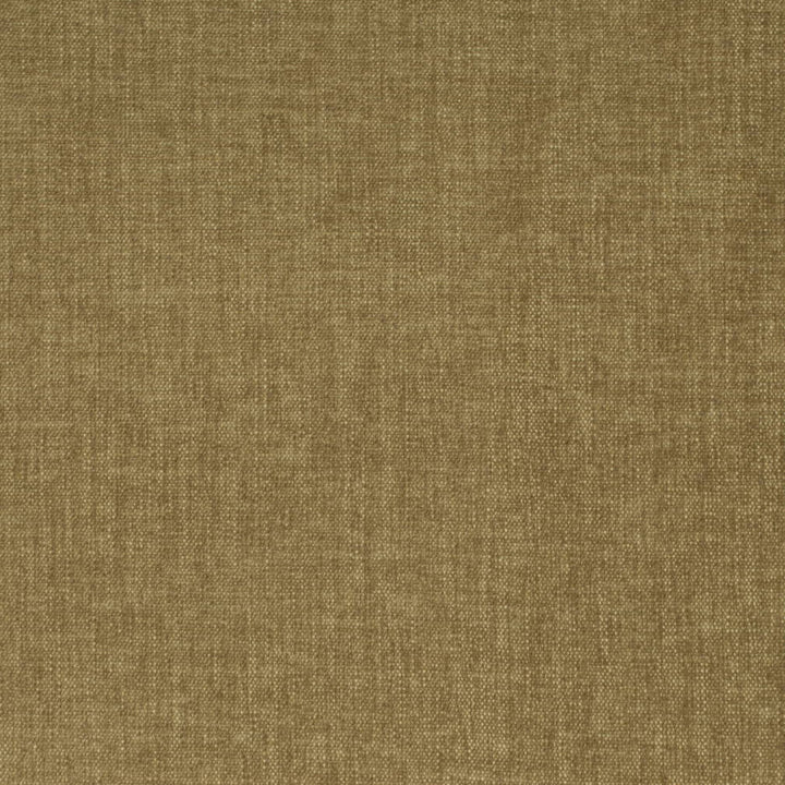 D4151 Olive by Charlotte Fabric Crypton Colors II 100% Polyester Finished in USA Exceeds 120,000 Wyzenbeek Rubs (Heavy Duty) No Repeat 54 Inches - Fabric Carolina -