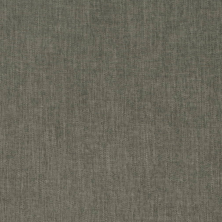 D4156 Rosemary by Charlotte Fabric Crypton Colors II 100% Polyester Finished in USA Exceeds 120,000 Wyzenbeek Rubs (Heavy Duty) No Repeat 54 Inches - Fabric Carolina -