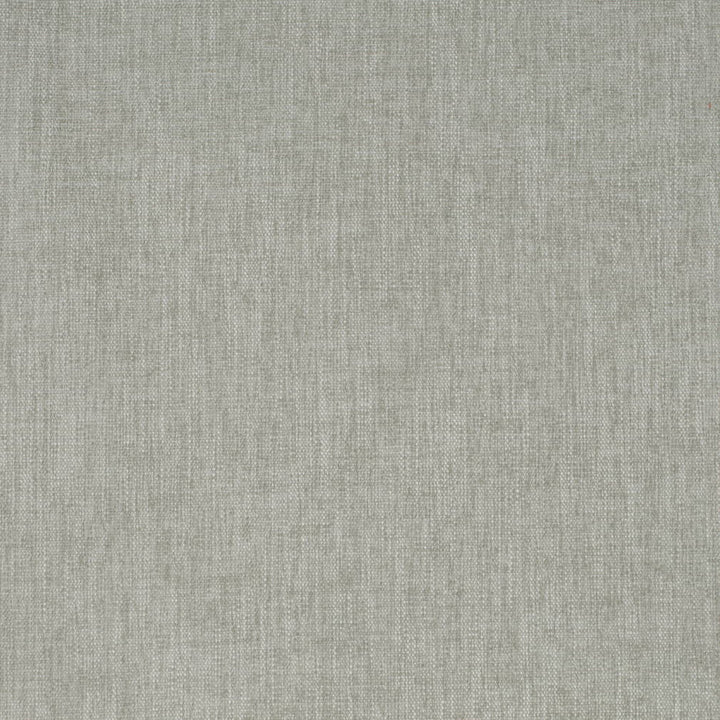 D4157 Lichen by Charlotte Fabric Crypton Colors II 100% Polyester Finished in USA Exceeds 120,000 Wyzenbeek Rubs (Heavy Duty) No Repeat 54 Inches - Fabric Carolina -