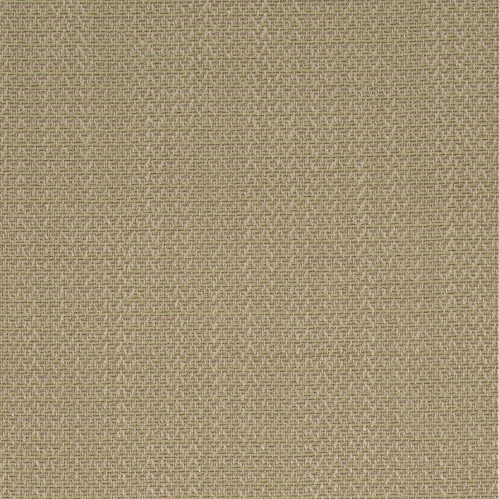 D4169 Fern by Charlotte Fabric Crypton Colors II 93% Polyester, 7% Linen Finished in USA Exceeds 200,000 Wyzenbeek Rubs (Heavy Duty) No Repeat 54 Inches - Fabric Carolina -