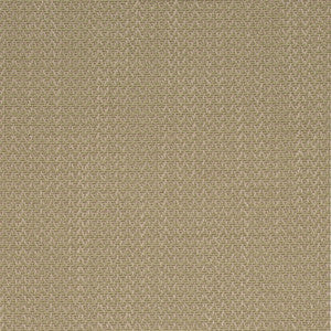 Charlotte Fabric D4169 Fern