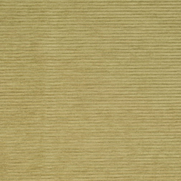D4170 Pear by Charlotte Fabric Crypton Colors II 100% Polyester Finished in USA Exceeds 100,000 Wyzenbeek Rubs (Heavy Duty) No Repeat 54 Inches - Fabric Carolina -