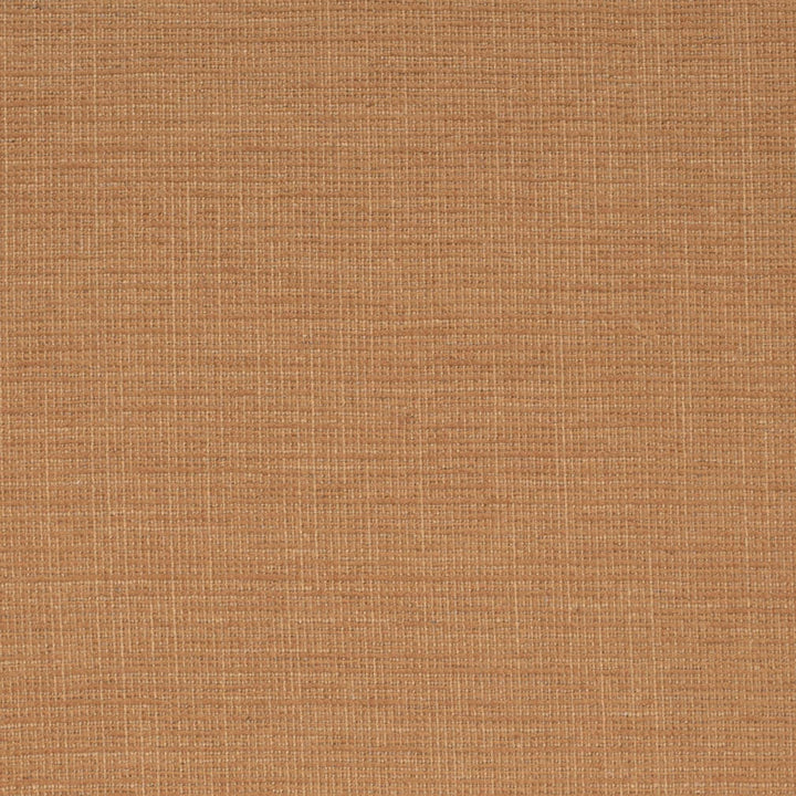 D4172 Nutmeg by Charlotte Fabric Crypton Colors II 90% Polyester, 10% Linen Finished in USA Exceeds 200,000 Wyzenbeek Rubs (Heavy Duty) No Repeat 54 Inches - Fabric Carolina -