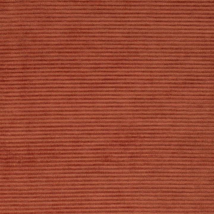 D4177 Paprika by Charlotte Fabric Crypton Colors II 100% Polyester Finished in USA Exceeds 100,000 Wyzenbeek Rubs (Heavy Duty) No Repeat 54 Inches - Fabric Carolina -