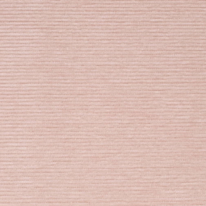 D4181 Petal by Charlotte Fabric Crypton Colors II 100% Polyester Finished in USA Exceeds 100,000 Wyzenbeek Rubs (Heavy Duty) No Repeat 54 Inches - Fabric Carolina -