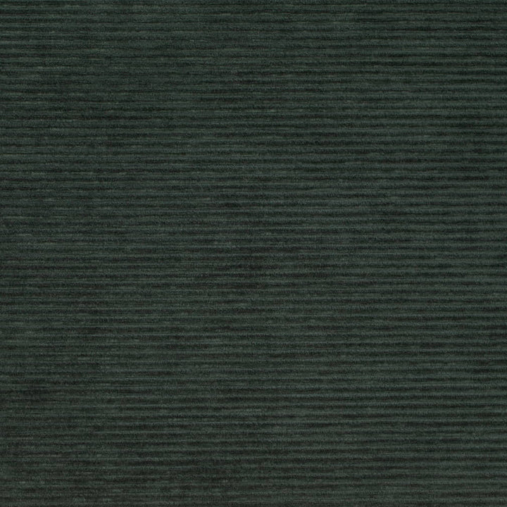 D4182 Hunter by Charlotte Fabric Crypton Colors II 100% Polyester Finished in USA Exceeds 100,000 Wyzenbeek Rubs (Heavy Duty) No Repeat 54 Inches - Fabric Carolina -