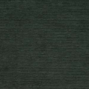 Charlotte Fabric D4182 Hunter