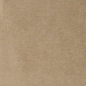 Charlotte Fabric D4195 Patina