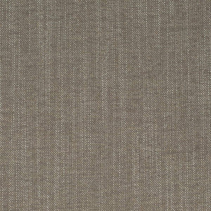 Charlotte Fabric D4241 Mushroom
