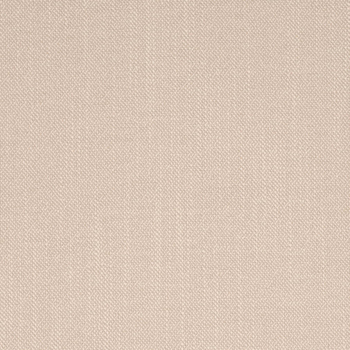 D4254 Flax by Charlotte Fabric Crypton Neutrals II 100% Polyester Finished in USA Exceeds 120,000 Wyzenbeek Rubs (Heavy Duty) No Repeat 54 Inches - Fabric Carolina -