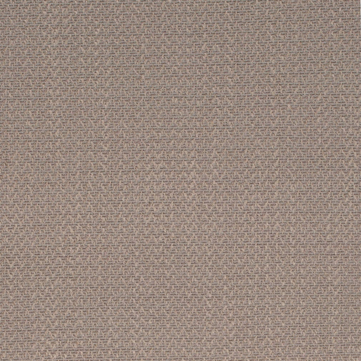 D4261 Driftwood by Charlotte Fabric Crypton Neutrals II 93% Polyester, 7% Linen Finished in USA Exceeds 200,000 Wyzenbeek Rubs (Heavy Duty) No Repeat 54 Inches - Fabric Carolina -