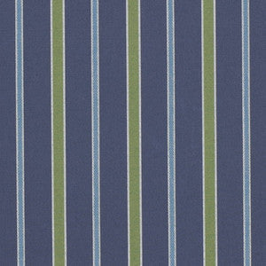 Charlotte Fabric D4305 Royal