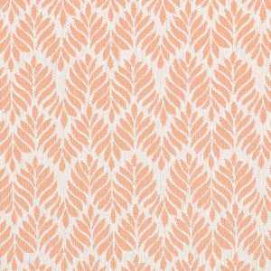 Charlotte Fabric D4311 Shell