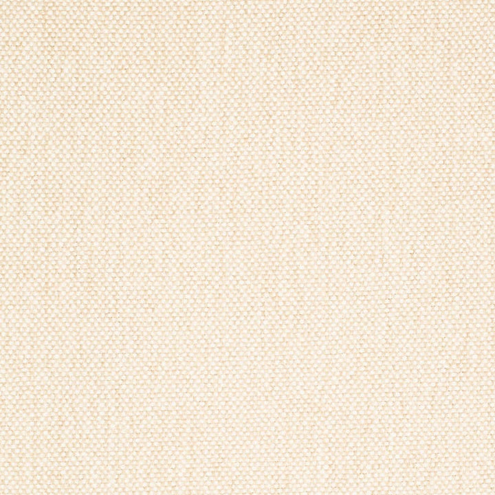 D4459 Linen by Charlotte Designer Fabric Eco Textures 57% Olefin, 43% Polyester USA </p><p>Repeat: No Repeat 54 Inches - Swanky Fabrics -