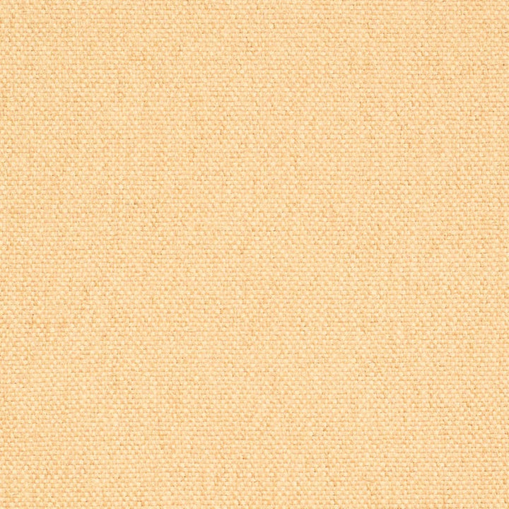 D4461 Khaki by Charlotte Designer Fabric Eco Textures 57% Olefin, 43% Polyester USA </p><p>Repeat: No Repeat 54 Inches - Swanky Fabrics -