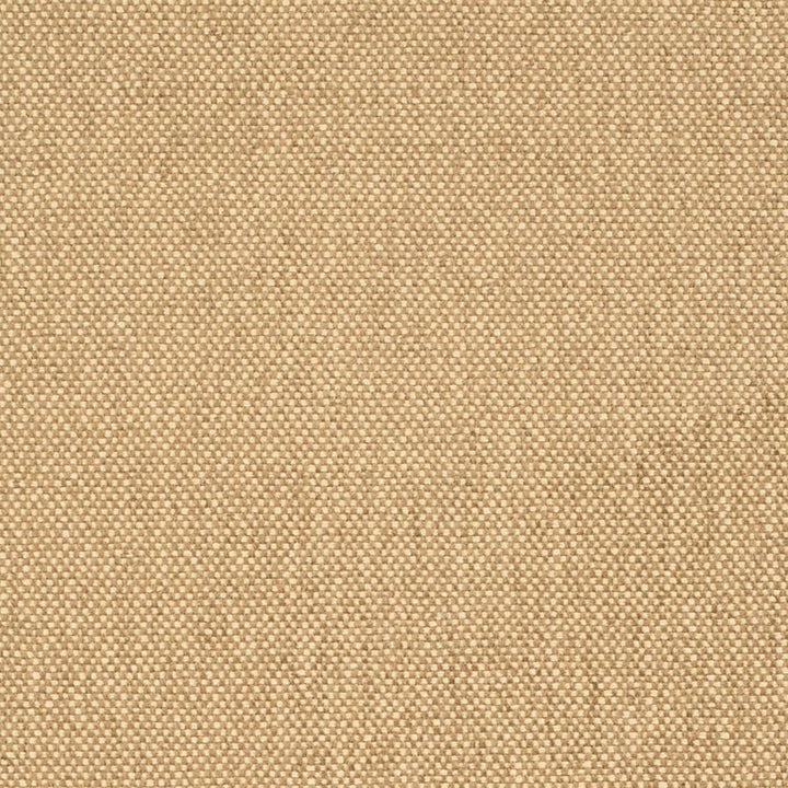 D4464 Latte by Charlotte Designer Fabric Eco Textures 57% Olefin, 43% Polyester USA </p><p>Repeat: No Repeat 54 Inches - Swanky Fabrics -