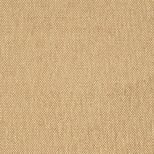 Charlotte Fabric D4464 Latte