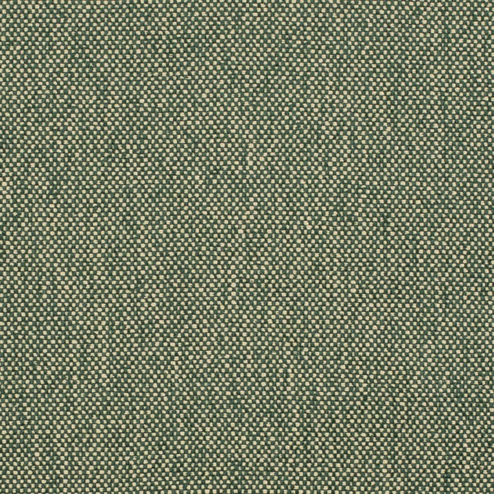 D4475 Hunter by Charlotte Designer Fabric Eco Textures 57% Olefin, 43% Polyester USA </p><p>Repeat: No Repeat 54 Inches - Swanky Fabrics -