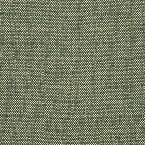 Charlotte Fabric D4475 Hunter