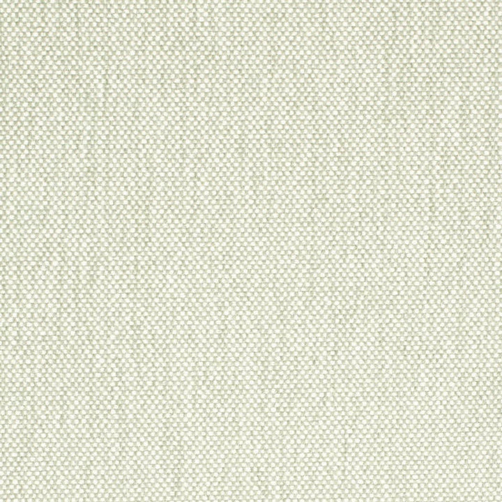 D4476 Celadon by Charlotte Designer Fabric Eco Textures 57% Olefin, 43% Polyester USA </p><p>Repeat: No Repeat 54 Inches - Swanky Fabrics -