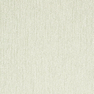 Charlotte Fabric D4476 Celadon
