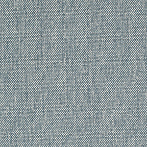 Charlotte Fabric D4483 Denim