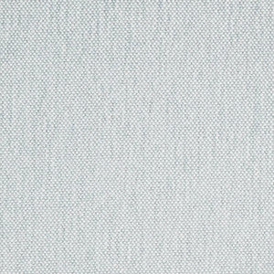 Charlotte Fabric D4484 Mist