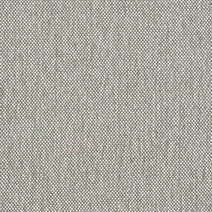 Charlotte Fabric D4486 Pewter